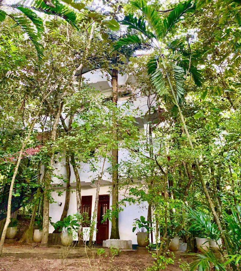Nature Will Ahangama Bagian luar foto
