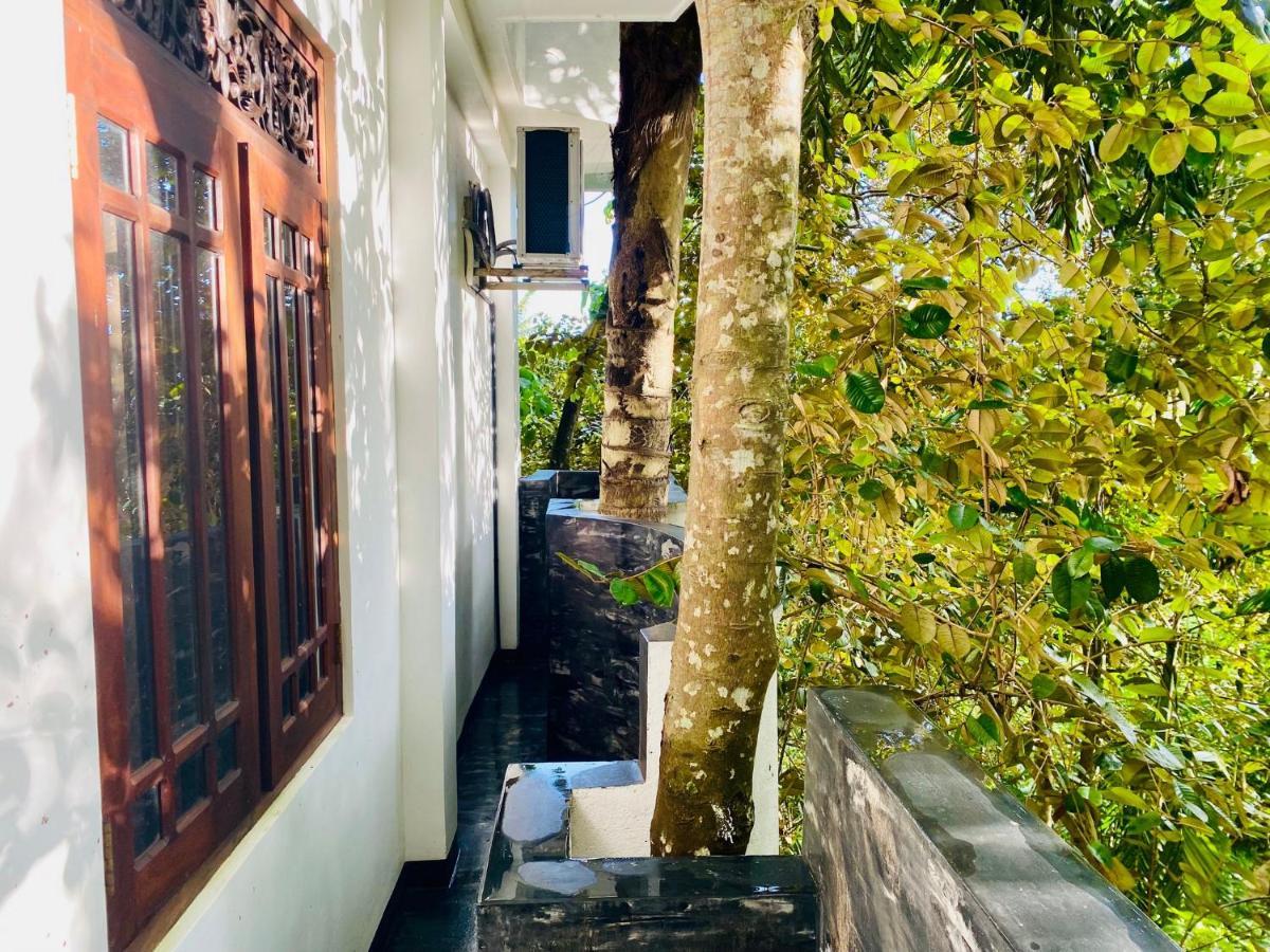 Nature Will Ahangama Bagian luar foto