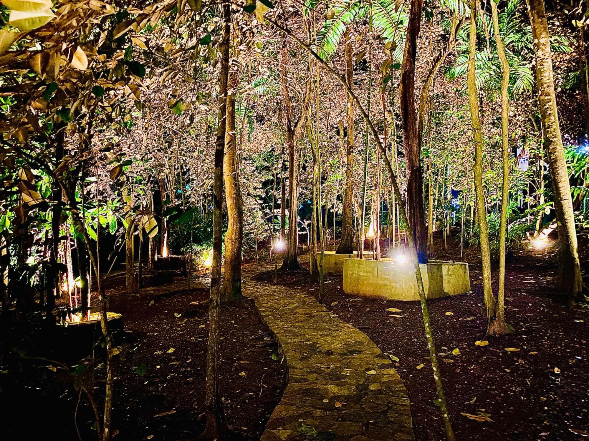 Nature Will Ahangama Bagian luar foto